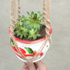 Flower Pot Net Bag Plant Greening Hanging