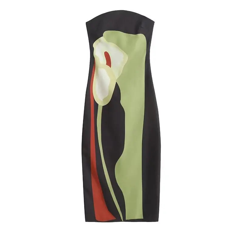 Belize Nice Backless Long Dress